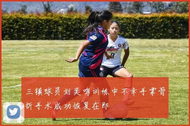 三镇球员刘奕鸣训练中不幸手掌骨折手术成功恢复在即