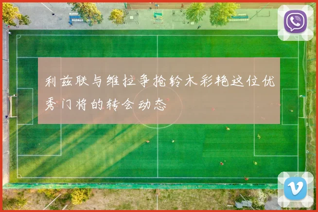 利兹联与维拉争抢铃木彩艳这位优秀门将的转会动态